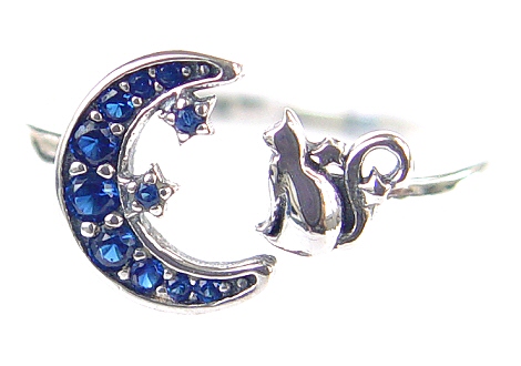 cat-and-moon-ring.jpg